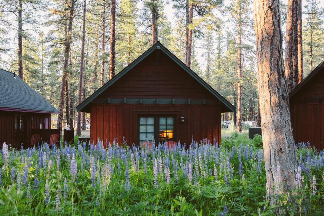 Fivepine Lodge Sisters Bagian luar foto